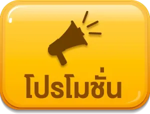โปรโมชั่น (6)